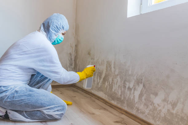 Licensed Mold Inspection service in Moorestown, NJ - WQB Mold Removal