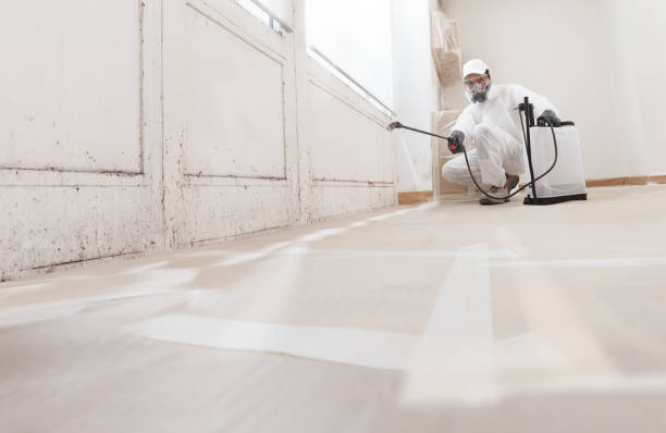 24/7 Emergency Mold Inspection experts in Moorestown, NJ