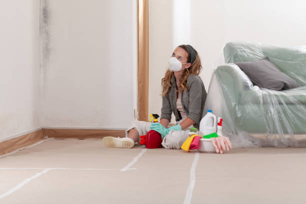 Reliable Mold Inspection contractor in Moorestown, NJ by WQB Mold Removal