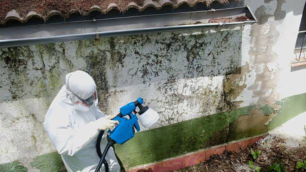 Top rated local Mold Inspection specialists in Moorestown, NJ